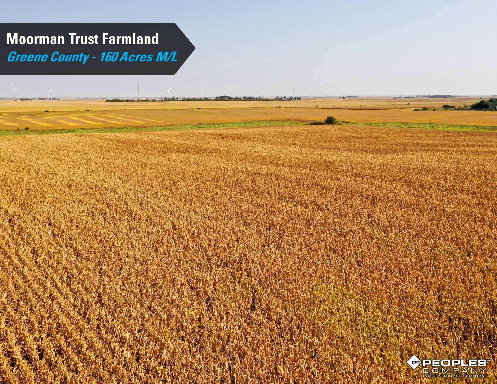 Listing Photo: Greene-County-Iowa-Farmland-Auction-160-Acres-Moorman-Rippey-IA-18618 (12)